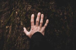 after-the-storm-photo